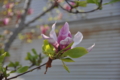 20100410161356