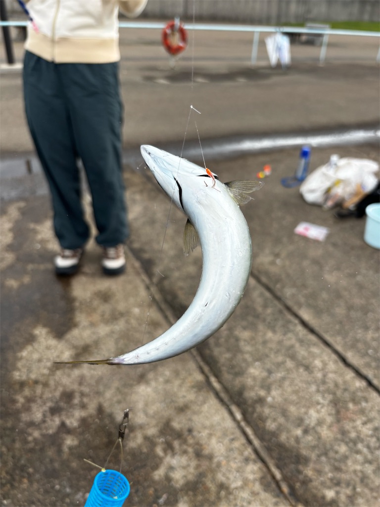 f:id:so821:20251019203548j:image f:id:so821:20251019203548j:image