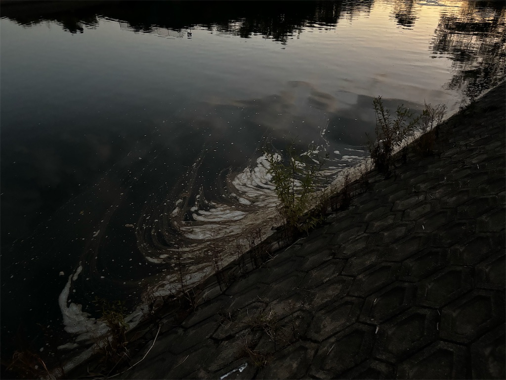 f:id:so821:20251028200059j:image f:id:so821:20251028200059j:image