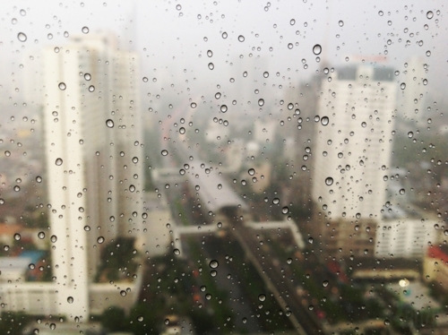 雨の画像