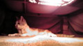 20100415215053
