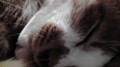 20100415220256