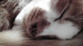 20100415220405