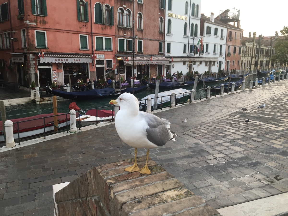 f:id:soar_mmm:20190410054707j:plain f:id:soar_mmm:20190410054707j:plain
