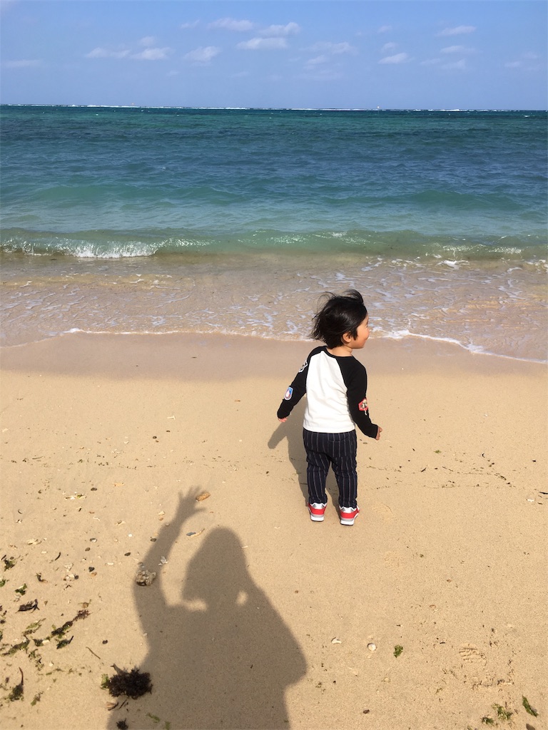 f:id:sobakasukarashimie:20180314163146j:plain f:id:sobakasukarashimie:20180314163146j:plain