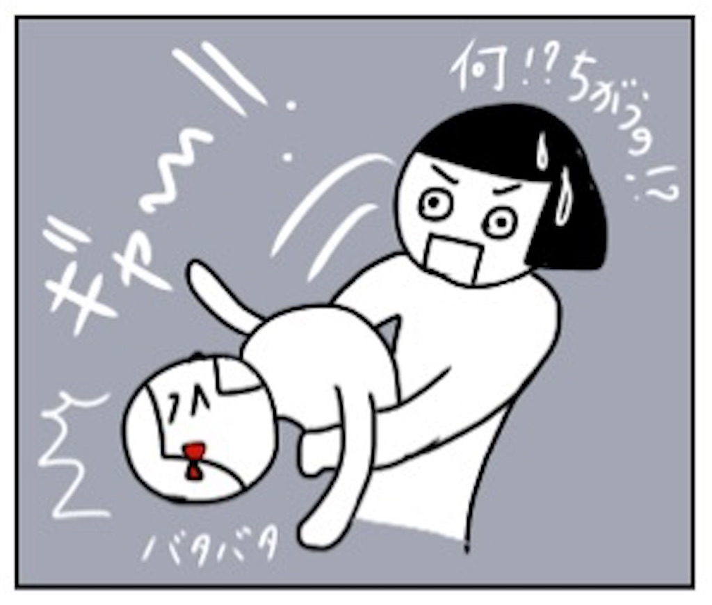 f:id:sobakasukarashimie:20190117151924j:image f:id:sobakasukarashimie:20190117151924j:image