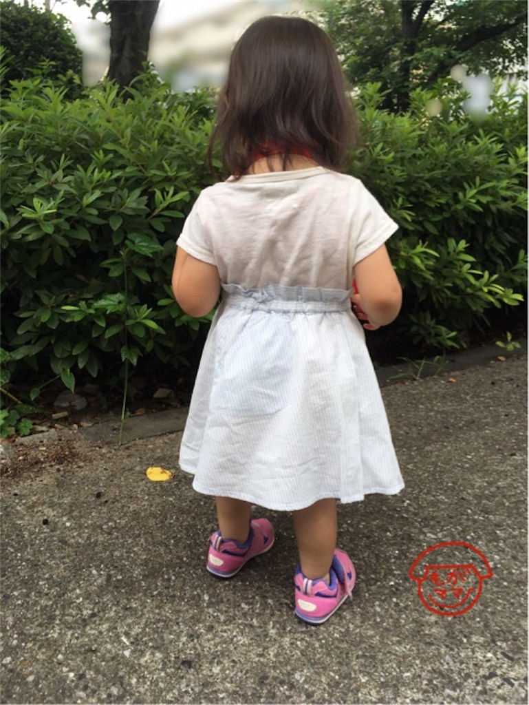 f:id:sobakasukarashimie:20190621134421j:image f:id:sobakasukarashimie:20190621134421j:image