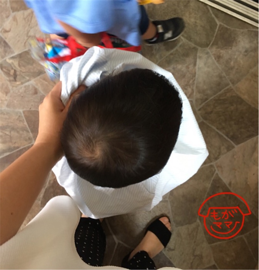 f:id:sobakasukarashimie:20190621134425j:image f:id:sobakasukarashimie:20190621134425j:image