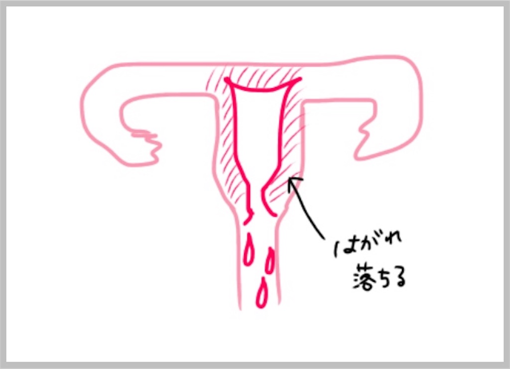 f:id:sobakasukarashimie:20190828234059j:image f:id:sobakasukarashimie:20190828234059j:image