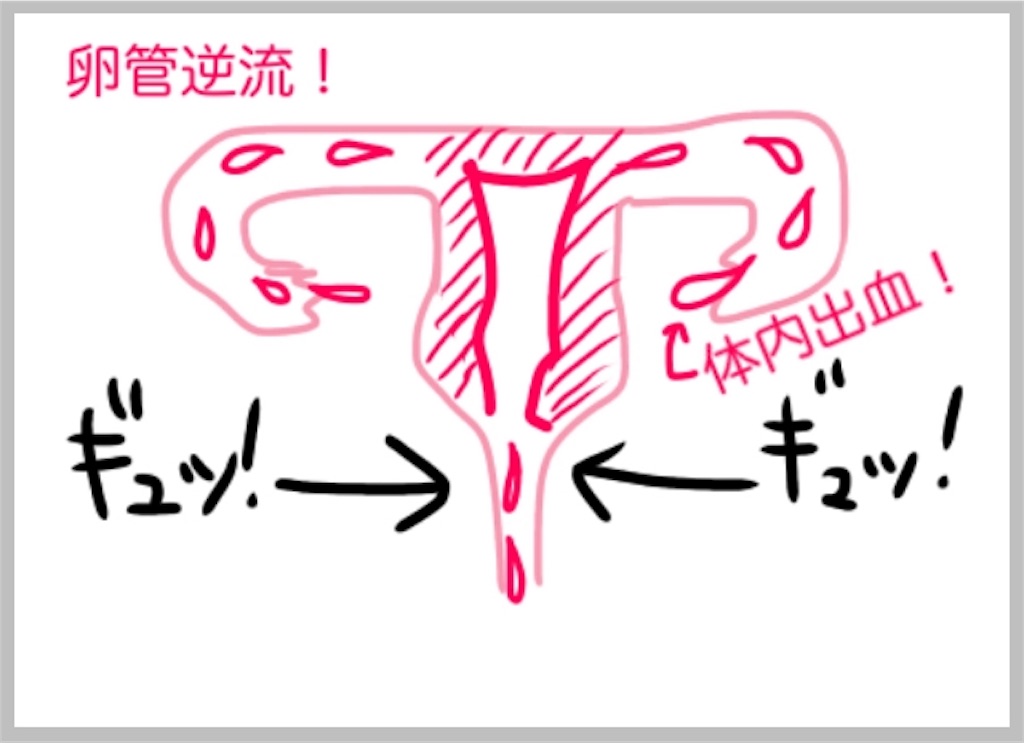 f:id:sobakasukarashimie:20190828234133j:image f:id:sobakasukarashimie:20190828234133j:image