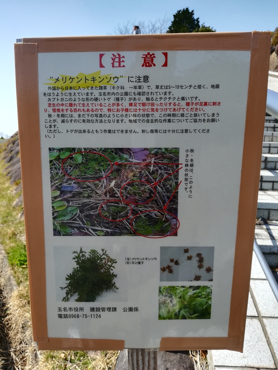 f:id:sobako17:20190317180340j:plain f:id:sobako17:20190317180340j:plain