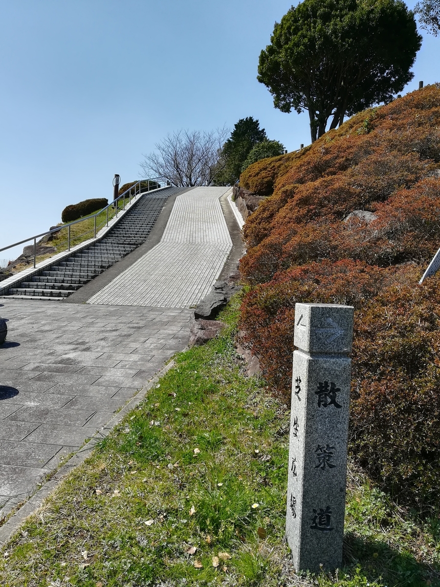 f:id:sobako17:20190317192319j:plain f:id:sobako17:20190317192319j:plain