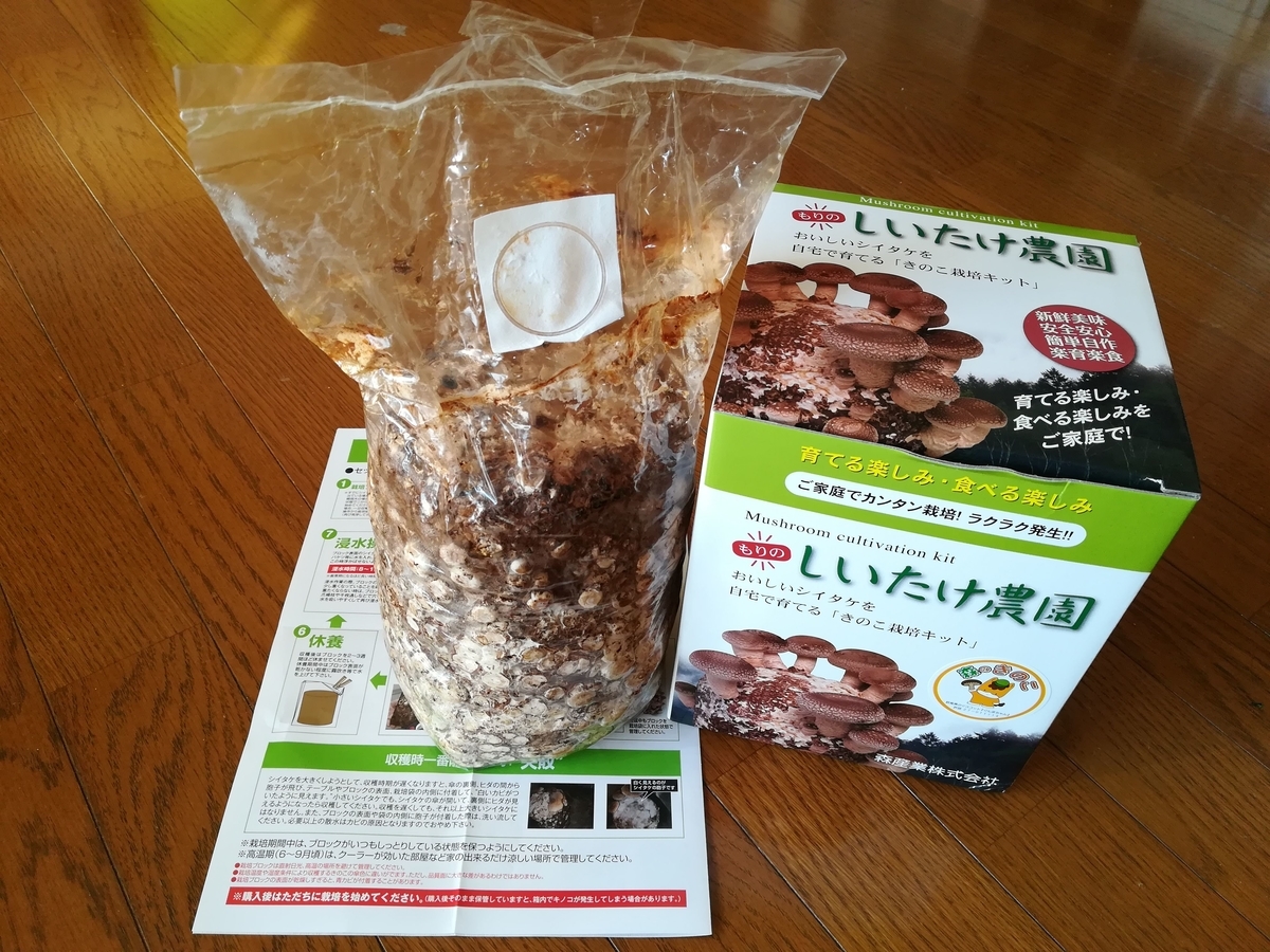 f:id:sobako17:20190326205226j:plain f:id:sobako17:20190326205226j:plain