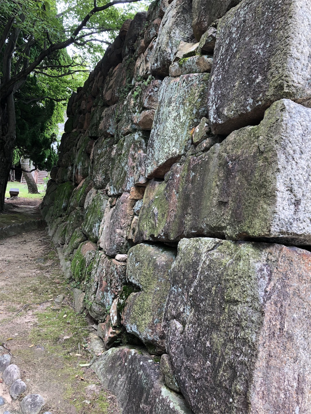 f:id:sobanikutama:20190922021740j:image