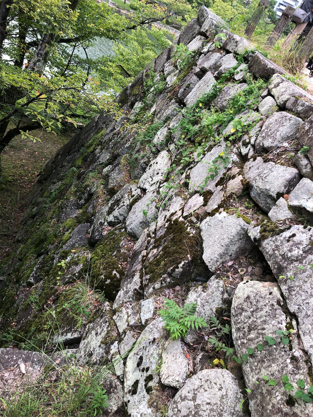 f:id:sobanikutama:20190924050517j:image