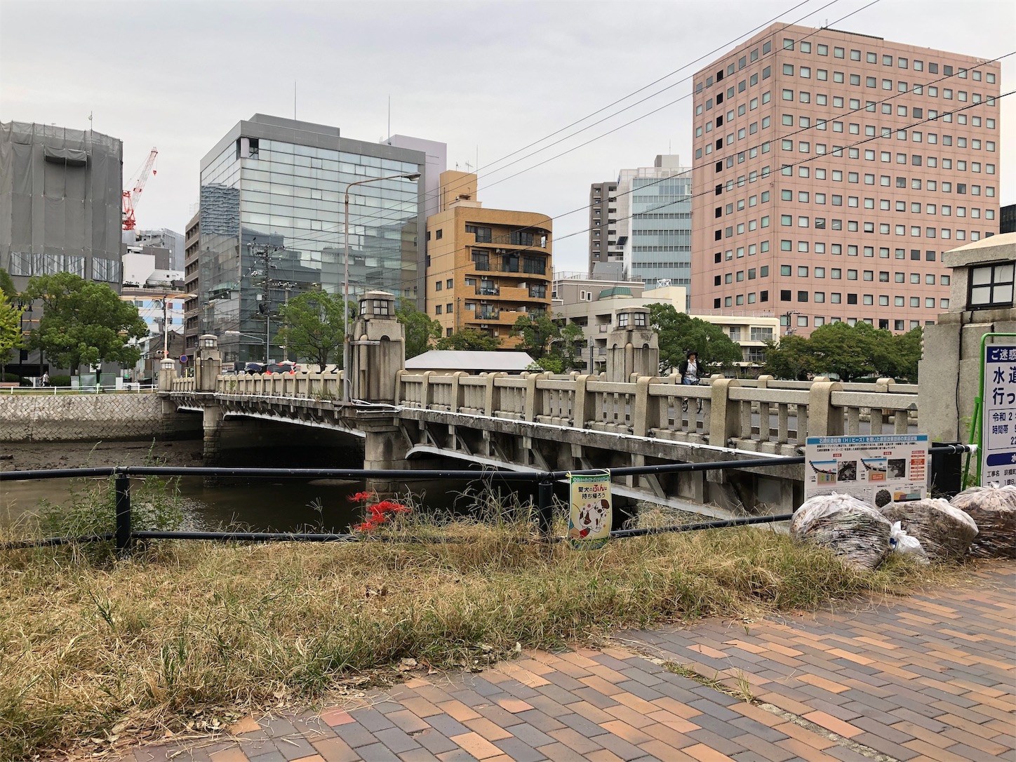 f:id:sobanikutama:20191001061415j:image f:id:sobanikutama:20191001061415j:image