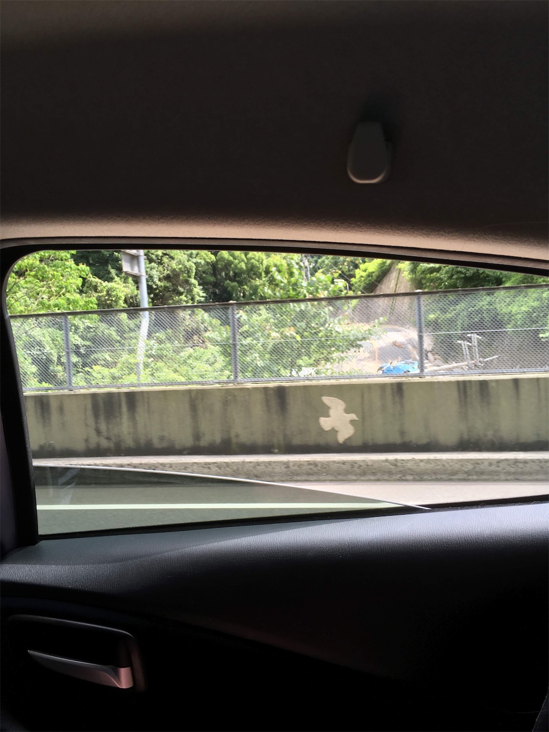 f:id:sobanikutama:20191021115952j:image