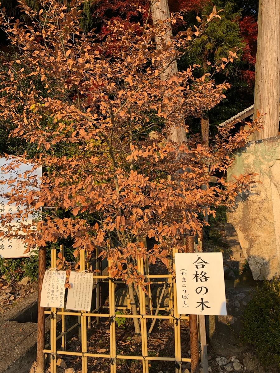 f:id:sobanikutama:20200604020440j:plain f:id:sobanikutama:20200604020440j:plain