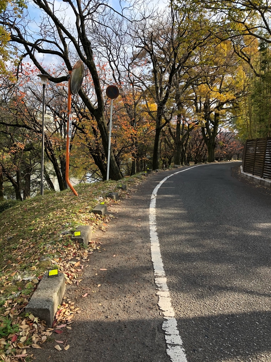 f:id:sobanikutama:20200606005544j:plain