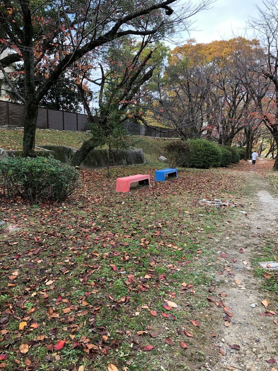 f:id:sobanikutama:20200606005635j:plain