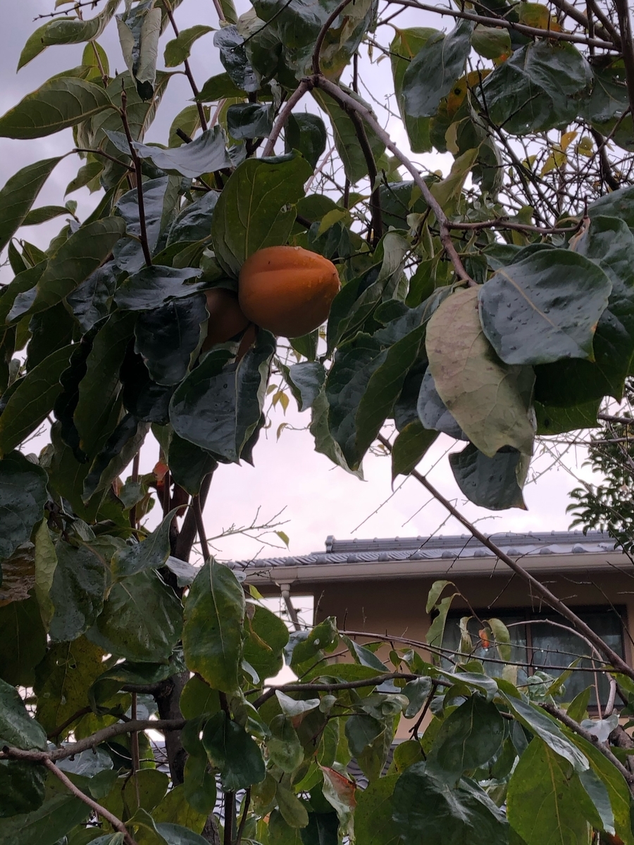 f:id:sobanikutama:20200610011248j:plain