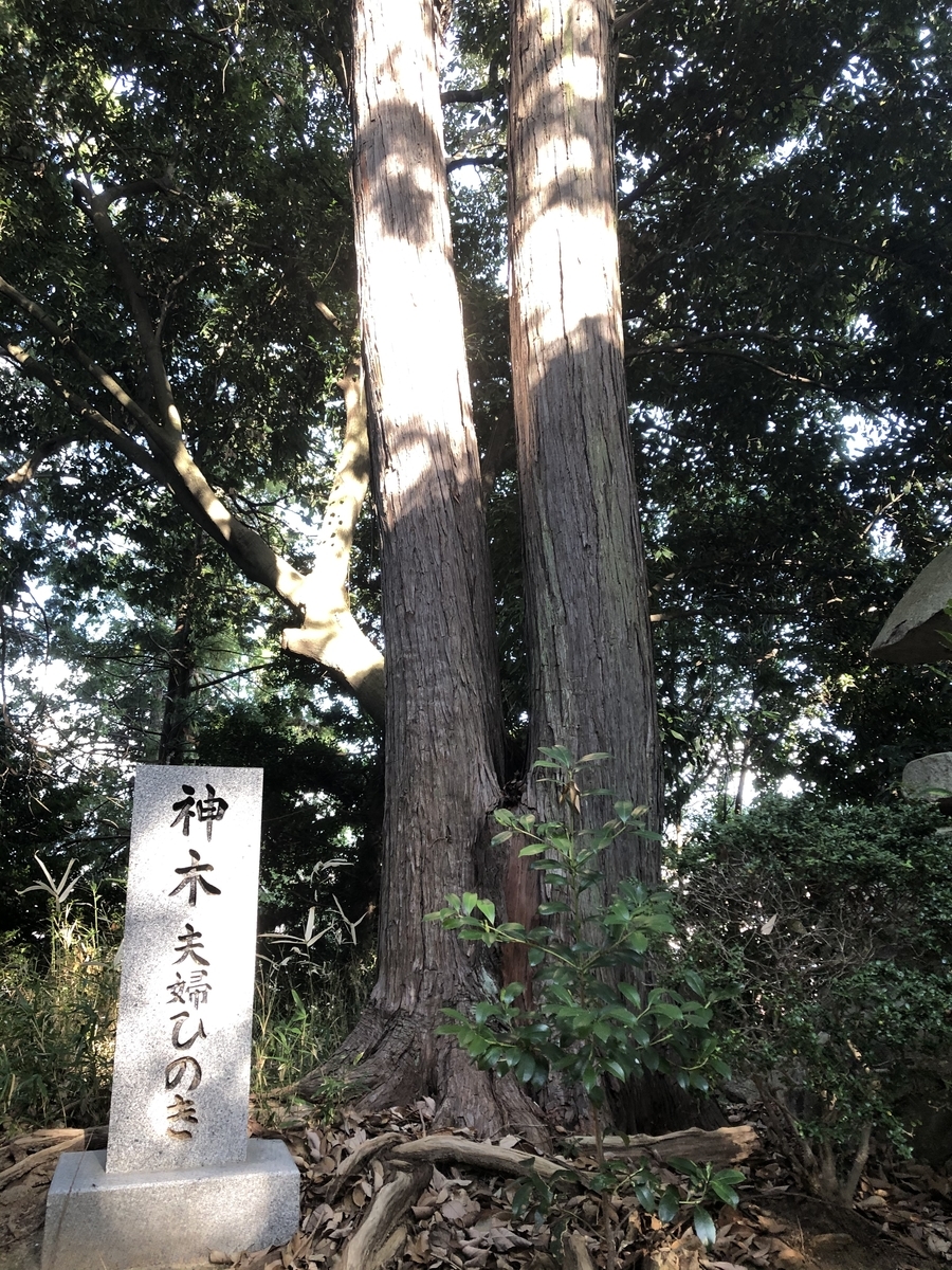 f:id:sobanikutama:20200927203255j:plain f:id:sobanikutama:20200927203255j:plain