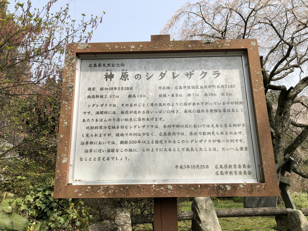 f:id:sobanikutama:20210330085846j:plain
