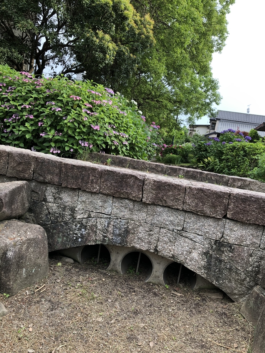 f:id:sobanikutama:20210607035234j:plain