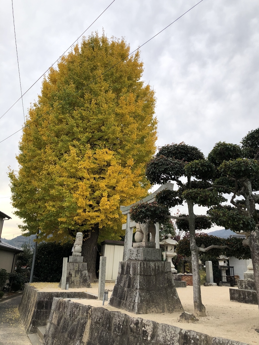 f:id:sobanikutama:20211122091844j:plain