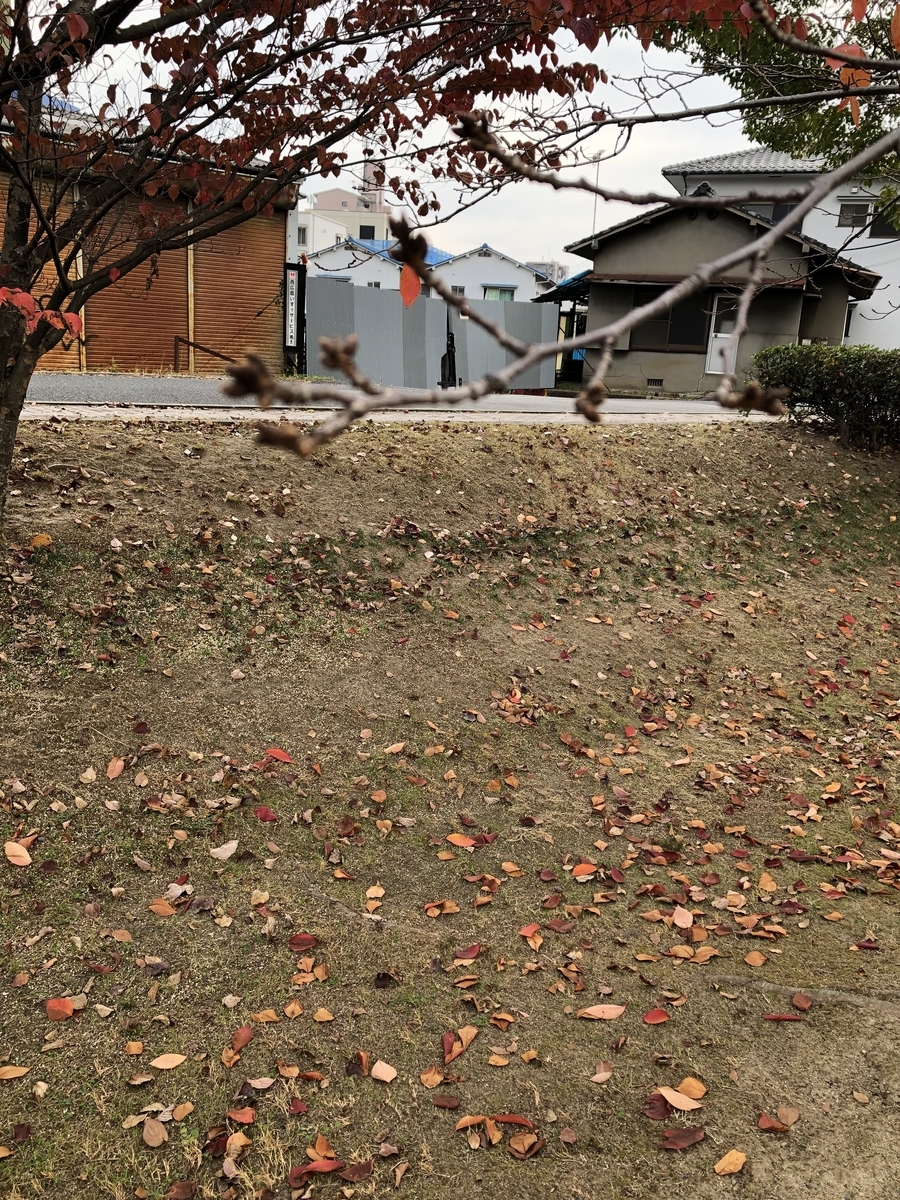 f:id:sobanikutama:20211126101601j:plain