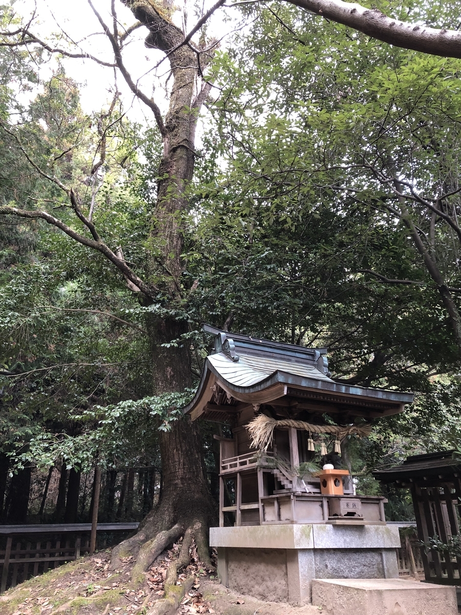 f:id:sobanikutama:20220107102119j:plain