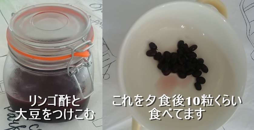 酢大豆