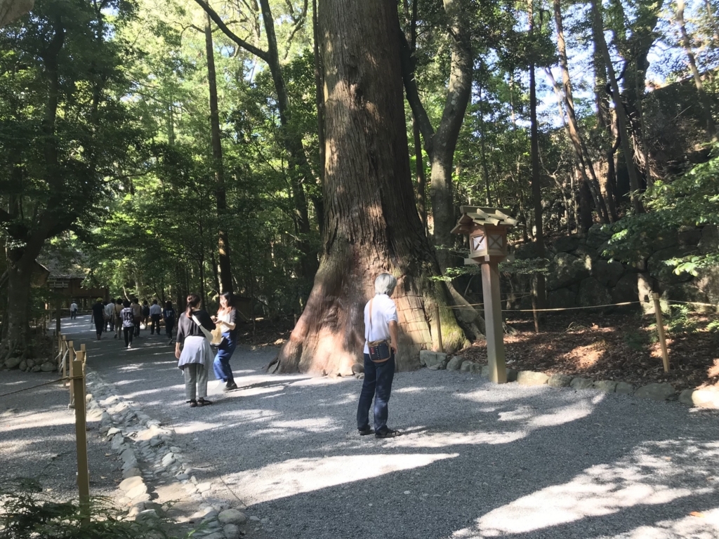 f:id:sobochuku57:20180602151238j:plain f:id:sobochuku57:20180602151238j:plain