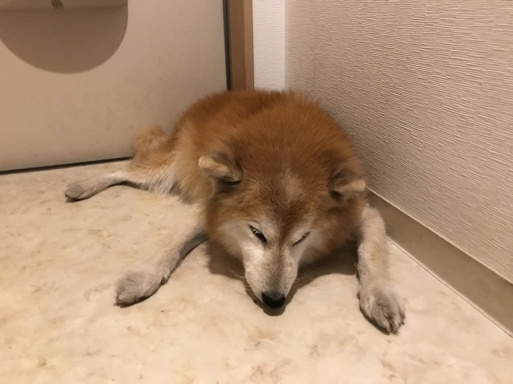 f:id:sobochuku57:20181210221026j:plain