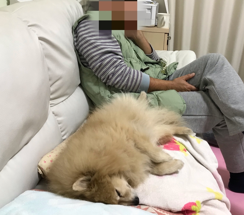f:id:sobochuku57:20181210221052j:plain