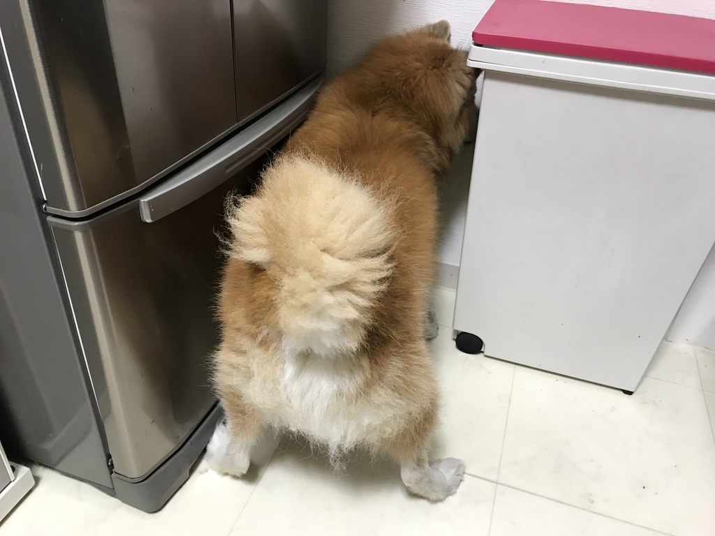 f:id:sobochuku57:20181226222637j:plain f:id:sobochuku57:20181226222637j:plain