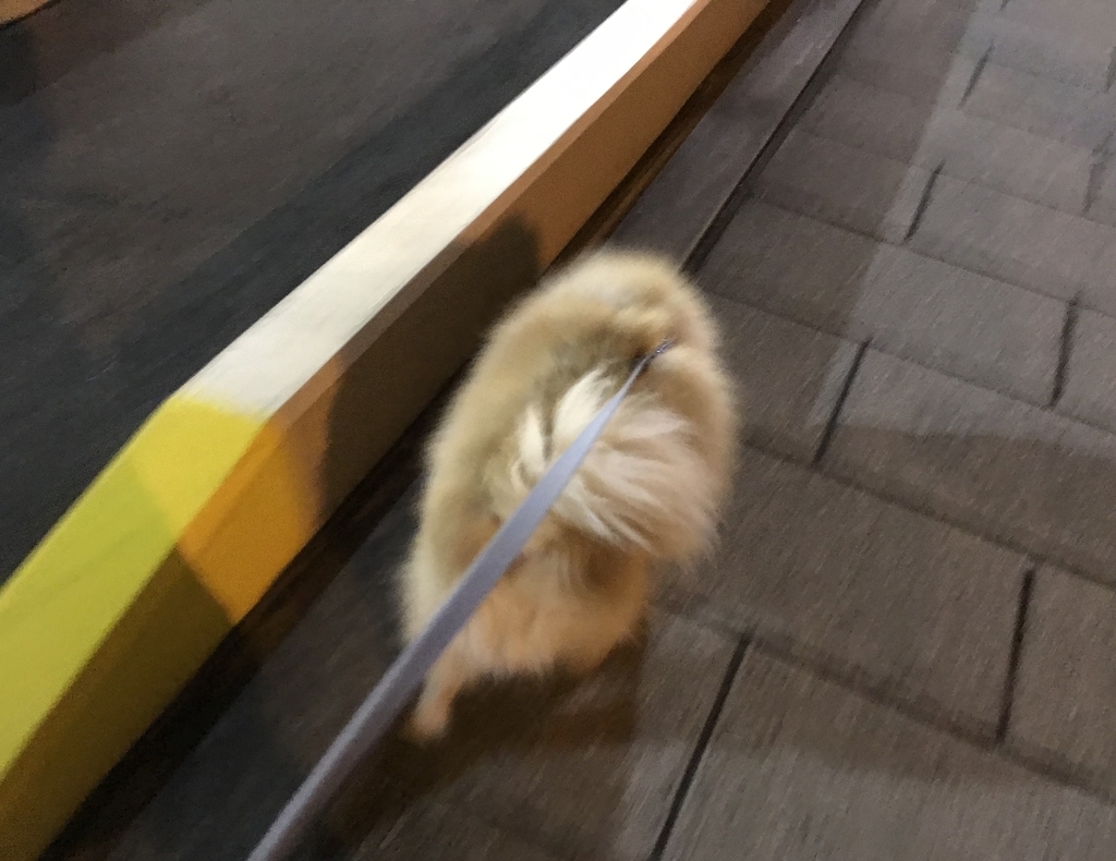 f:id:sobochuku57:20181226222714j:plain f:id:sobochuku57:20181226222714j:plain