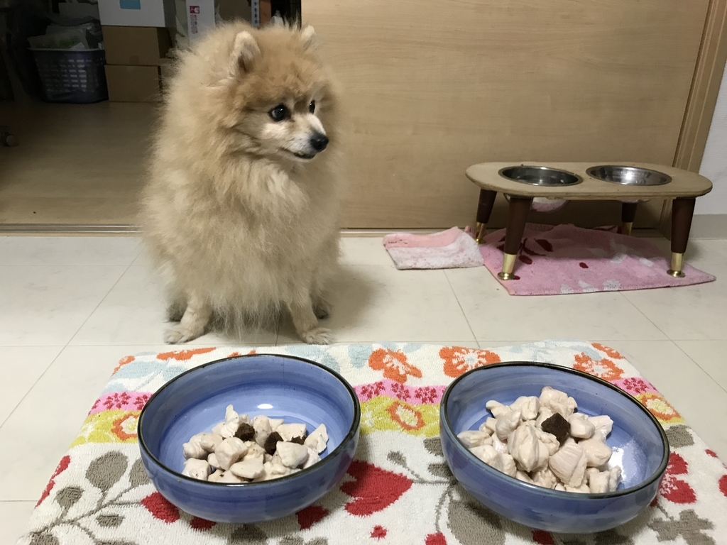 f:id:sobochuku57:20181226222858j:plain f:id:sobochuku57:20181226222858j:plain