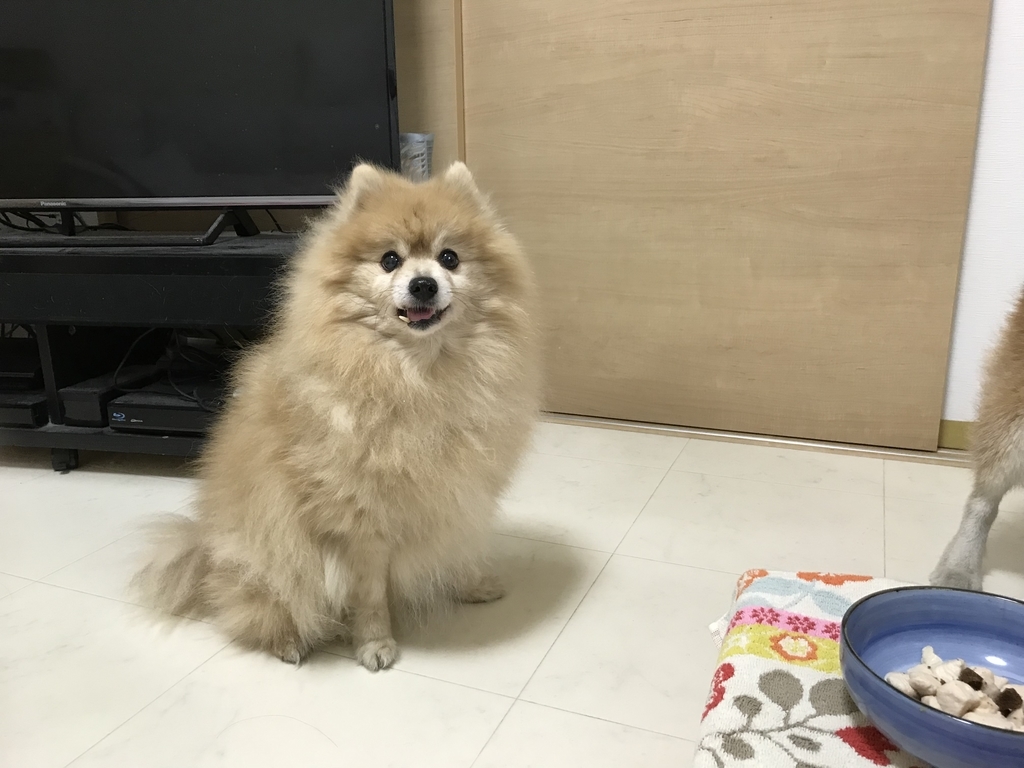 f:id:sobochuku57:20181226223018j:plain f:id:sobochuku57:20181226223018j:plain