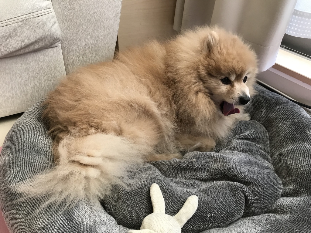 f:id:sobochuku57:20190208214413j:plain f:id:sobochuku57:20190208214413j:plain