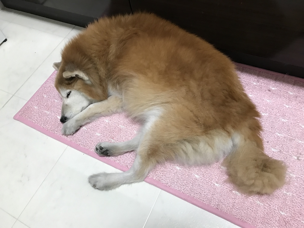 f:id:sobochuku57:20190208214459j:plain f:id:sobochuku57:20190208214459j:plain
