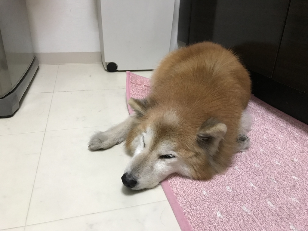 f:id:sobochuku57:20190208215346j:plain f:id:sobochuku57:20190208215346j:plain