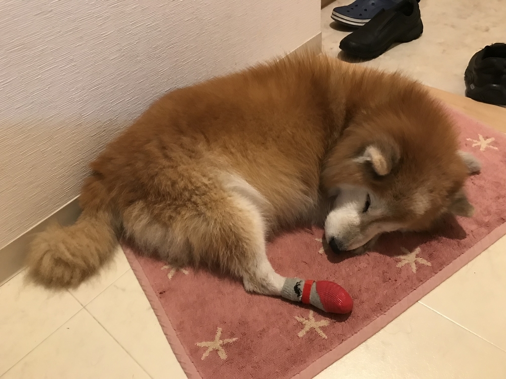f:id:sobochuku57:20190209005403j:plain f:id:sobochuku57:20190209005403j:plain
