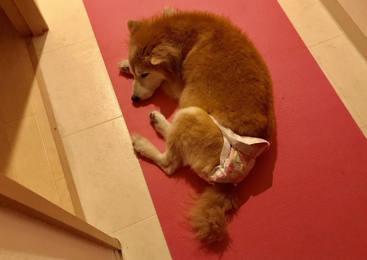f:id:sobochuku57:20190707190403j:plain f:id:sobochuku57:20190707190403j:plain
