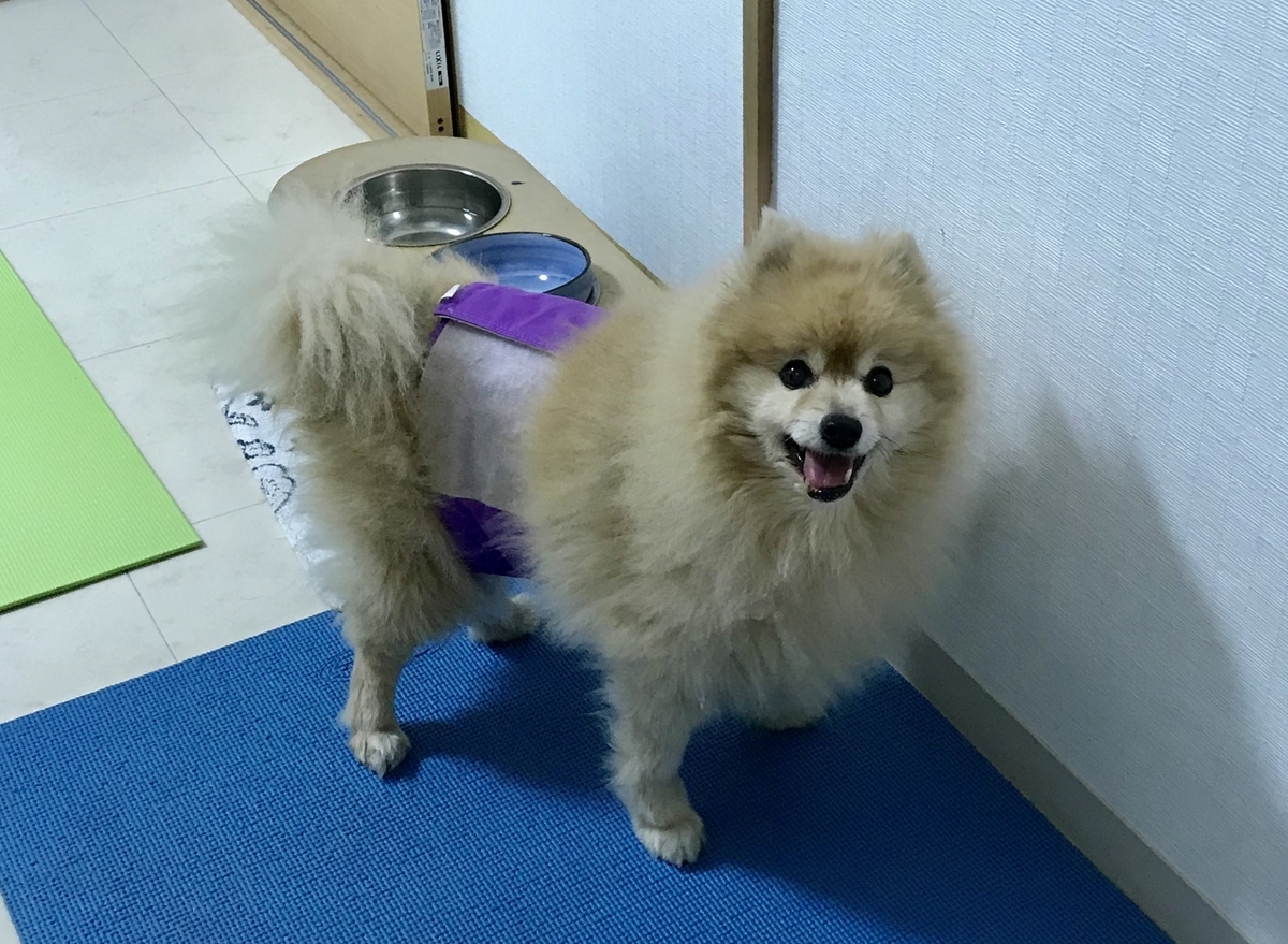 f:id:sobochuku57:20190707190656j:plain f:id:sobochuku57:20190707190656j:plain
