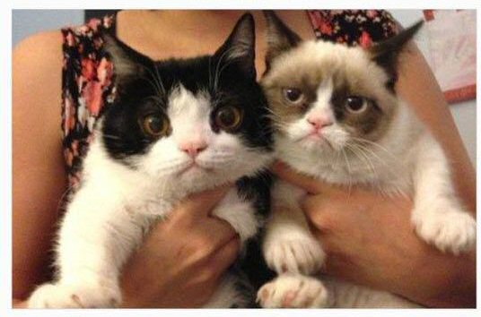 f:id:soboku-kobe:20160602123159j:plain