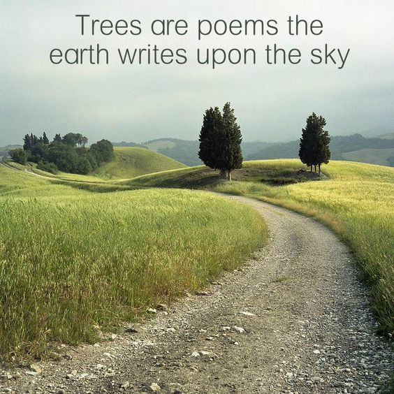 f:id:soboku-kobe:20170414202640p:plain:w400