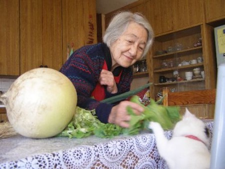 f:id:sobolog:20090115100501j:image
