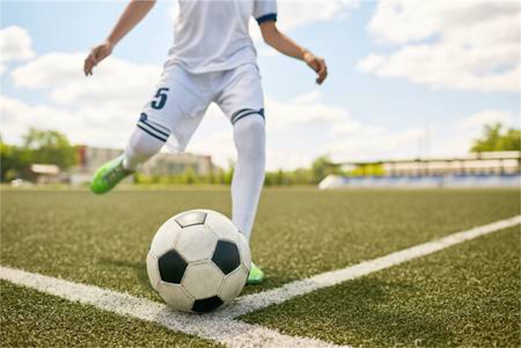 f:id:soccer_shoki:20190205160807j:image