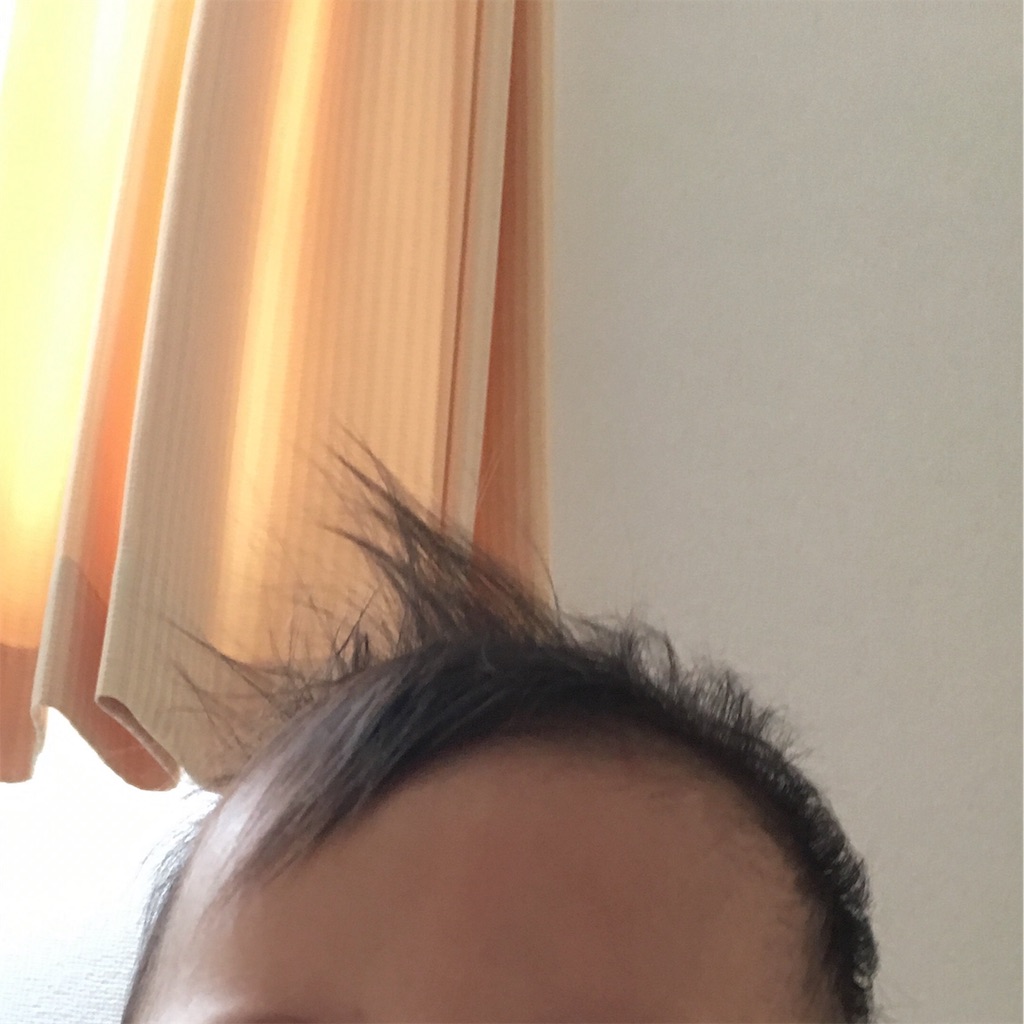 f:id:sochacha:20190710235209j:image f:id:sochacha:20190710235209j:image